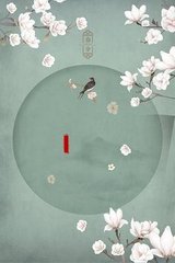 摄像头录像大师破解版